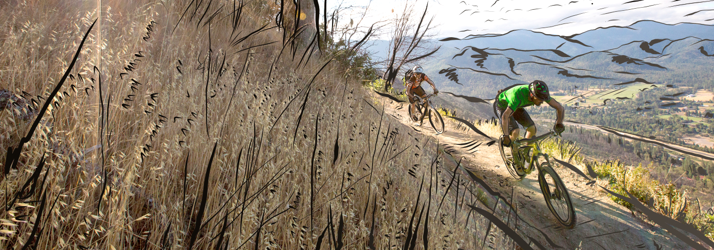 Illustrated image of a person riding a mountain bike on trails managed by their IMBA local member organization.