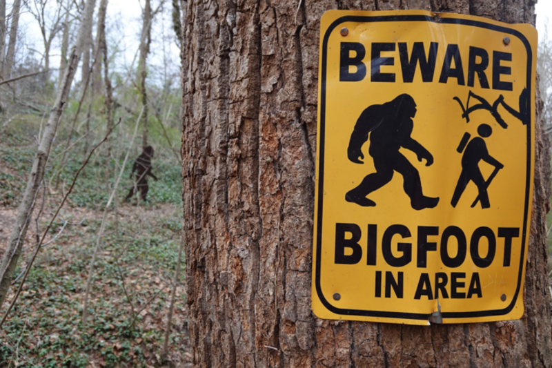 "Beware of bigfoot"