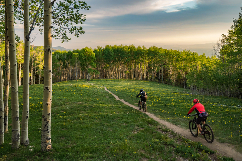 "Two mountain bikers riding through a meadow"