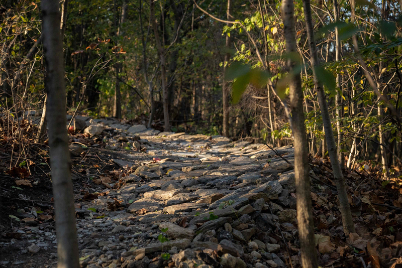 "Rock garden in Highbridge Park"