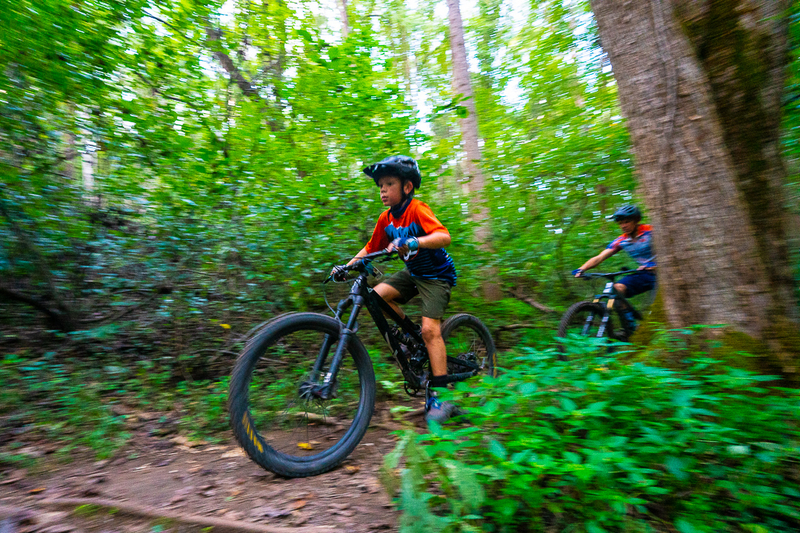 "A young mountain biker riding through the woods in Bristol, VA"