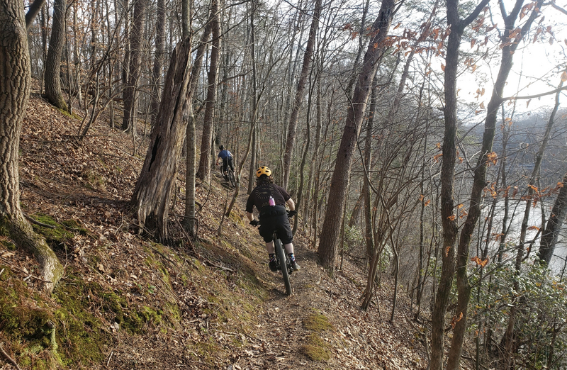 "Two mountain bikers riding on a hillside in Wildwood Park"