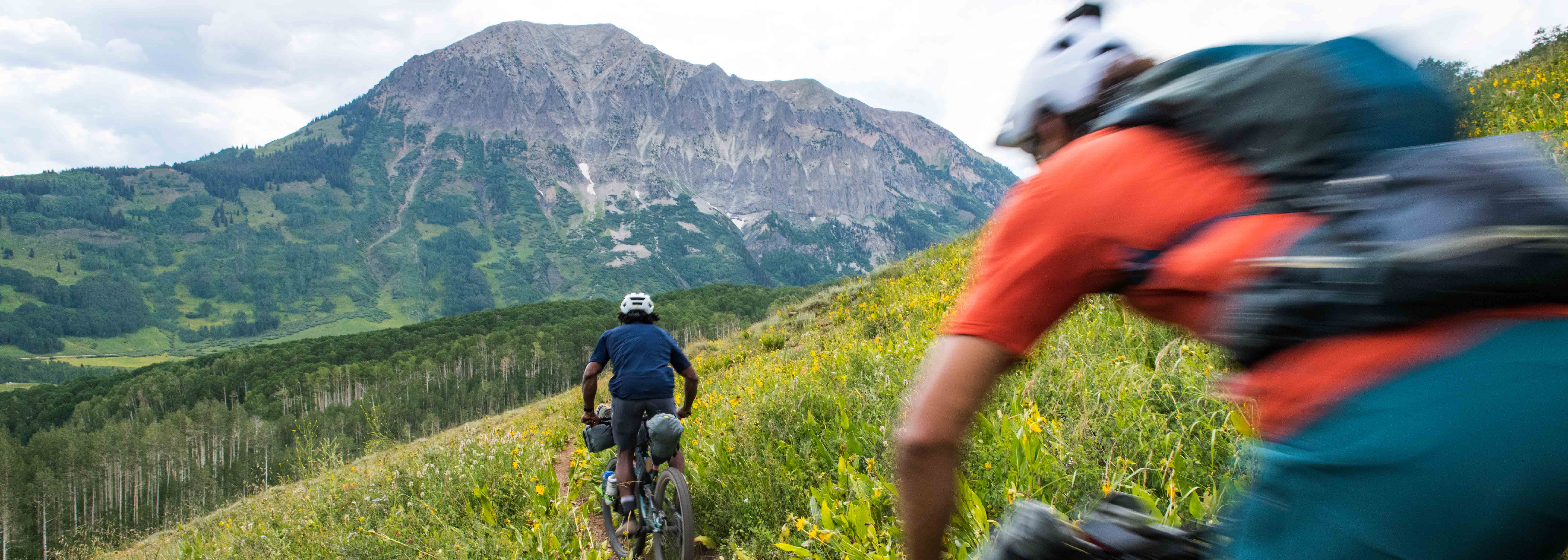 Two riders riding on a trail lined with wildflowers, toward a high alpine mountain in the distance