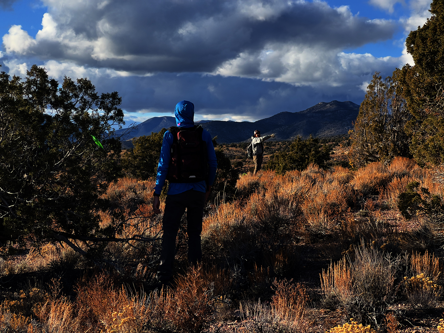 "Man in the foreground attaching flagging to a bush, man in the background facing the camera pointing.""