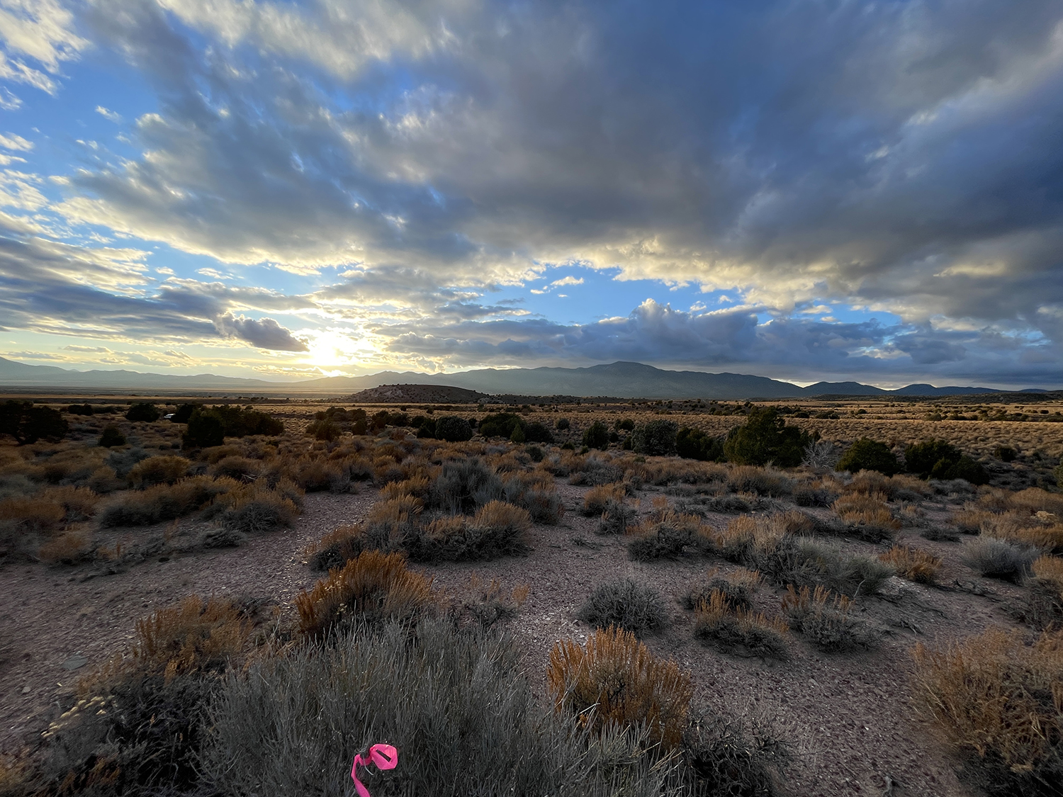 "Desert landscape at sunset with a pink flag in the foreground."