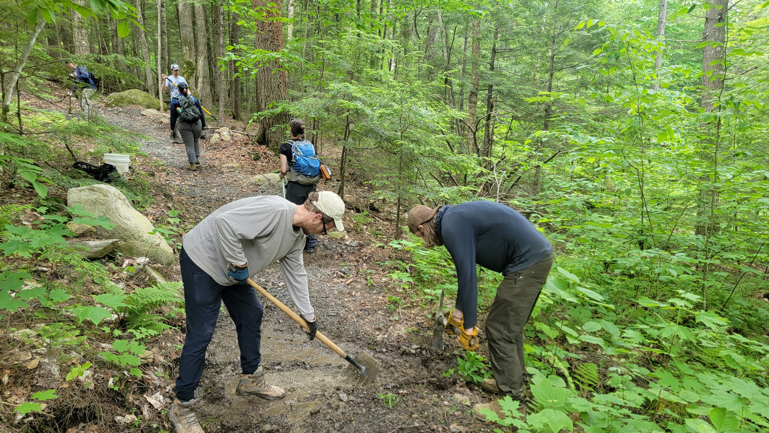 "A crew of 5 young trail builders work to build trails"