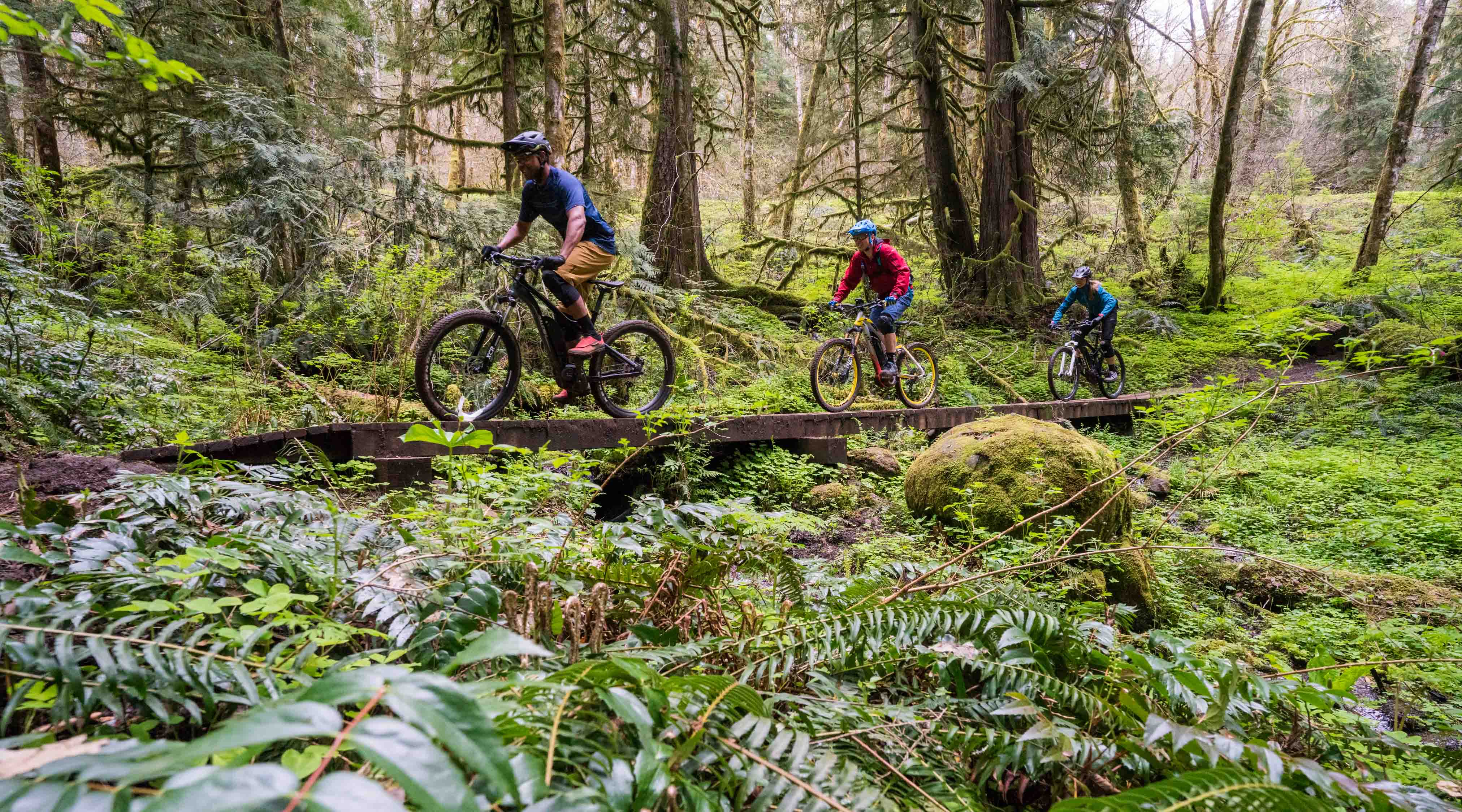 alsea falls mountain biking