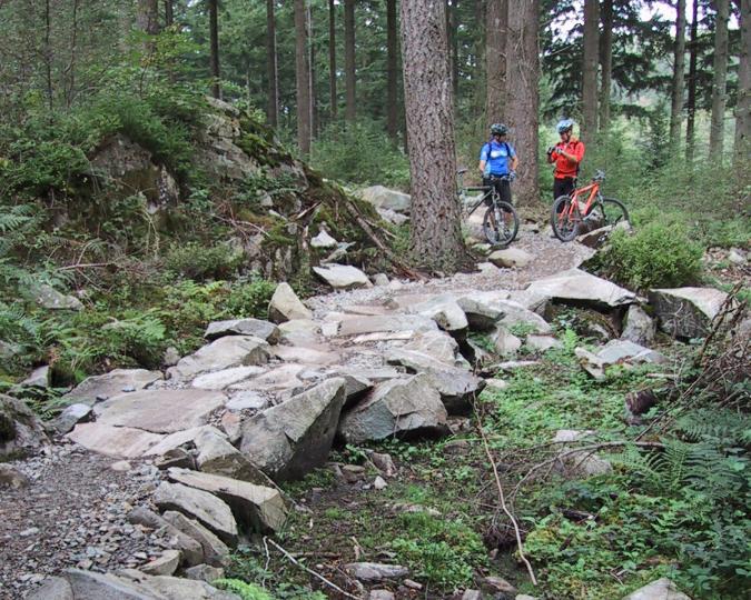 Rich Edwards, IMBA Trail Solutions, UK, Coed Y Brenin, The King's Forest, rocky trail, forest, trail, mountain bikes