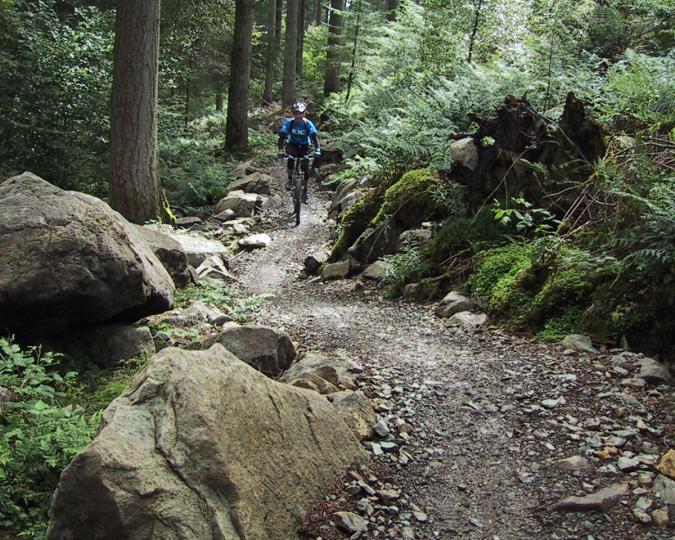 Rich Edwards, IMBA Trail Solutions, UK, mountain bikes, trail, forest, CDYBRN, Coed Y Brenin, The King's Forest