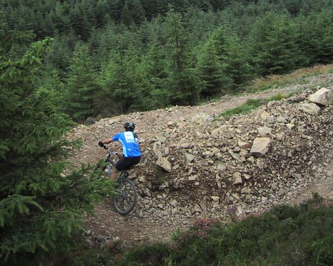 Scottish Borders, IMBA, Forest Farm, trail, mountain biking, trees, rocky trail