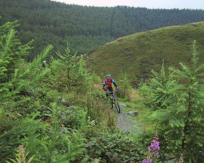 Rich Edwards, IMBA Trail Solutions, UK, hillside, mountainside, vegetation, trail, mountain bike, mountain biker