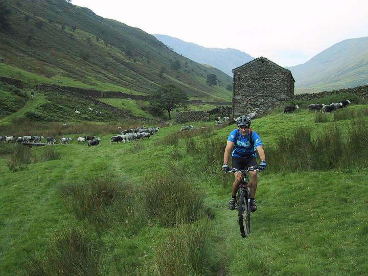 Rich Edwards, IMBA Trail Solutions, UK, Lakes District, England, grass, trail, field, sheep, valley