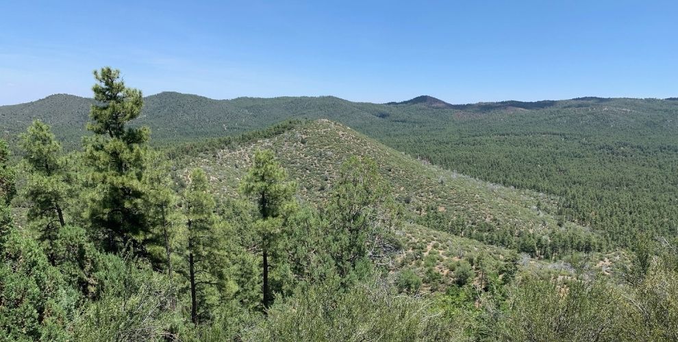 View from Bean Peaks in Prescott, Arizona