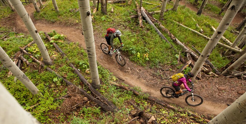 Two mountain bikers riding through aspens in Vail, Colorado