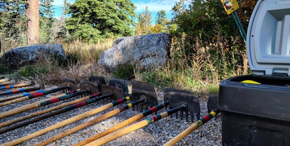 Mcleods lined up by the trail