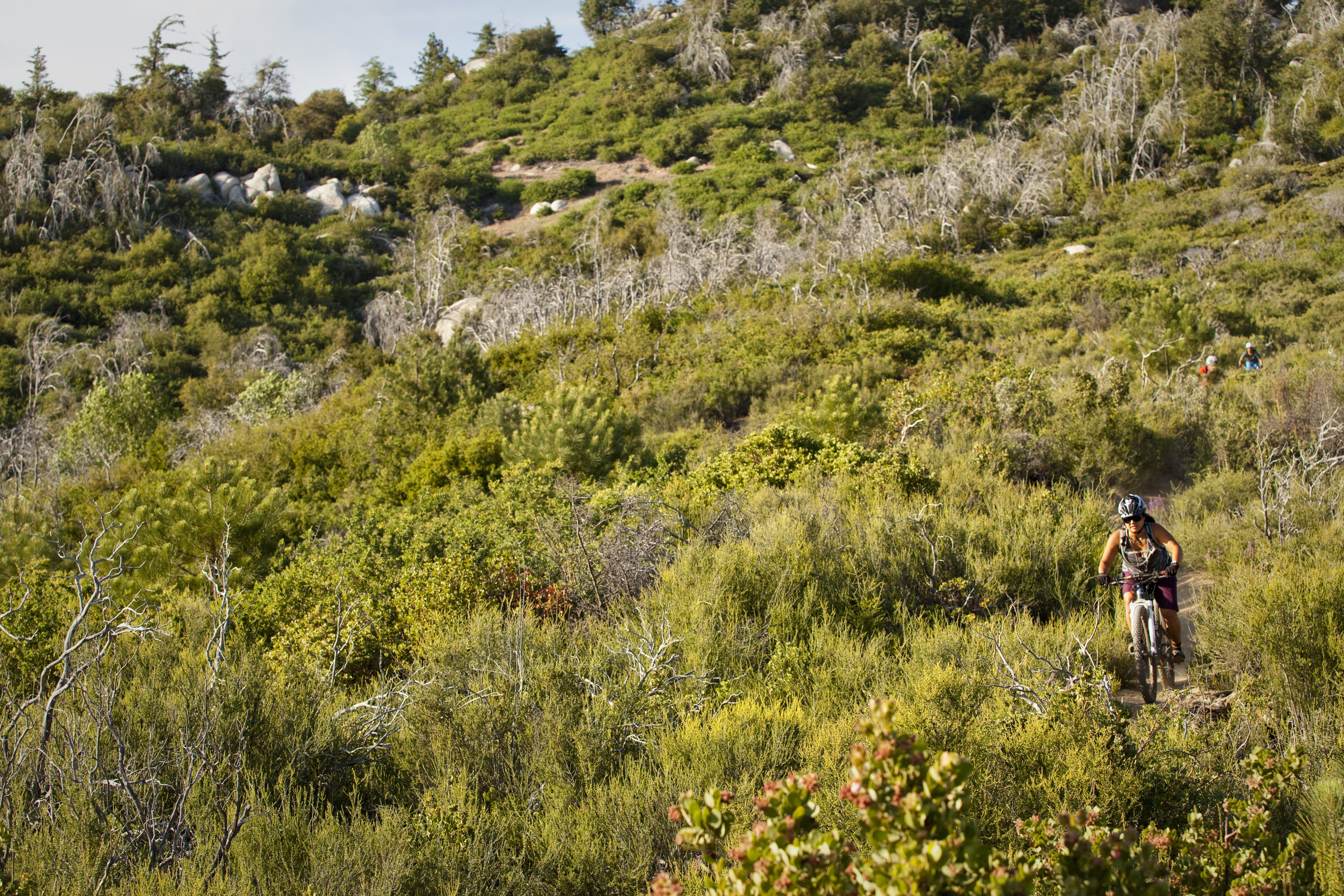 More trails close to home