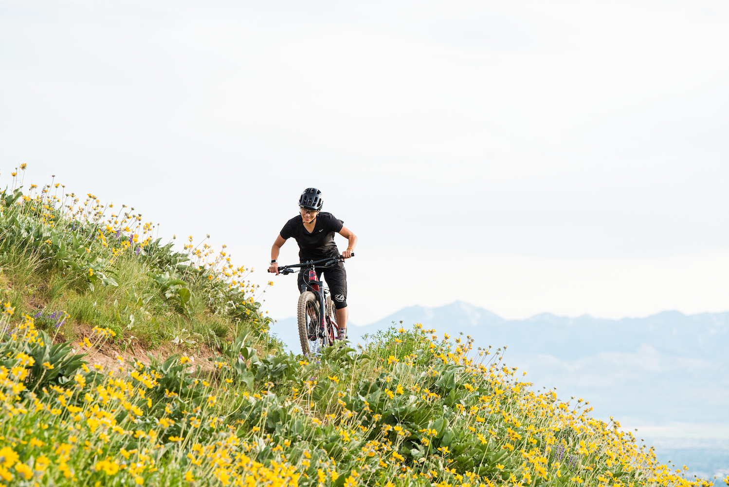 Rider cresting a corner of Utah's Bonneville Shoreline Trail through field of yellow flowers and mountain ridgeline in distance