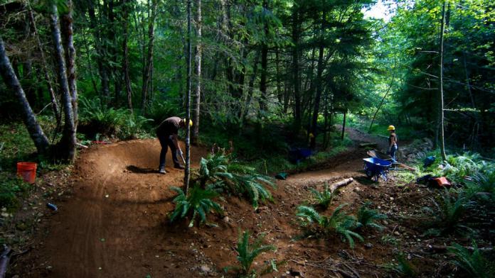 Construction at Alsea Falls