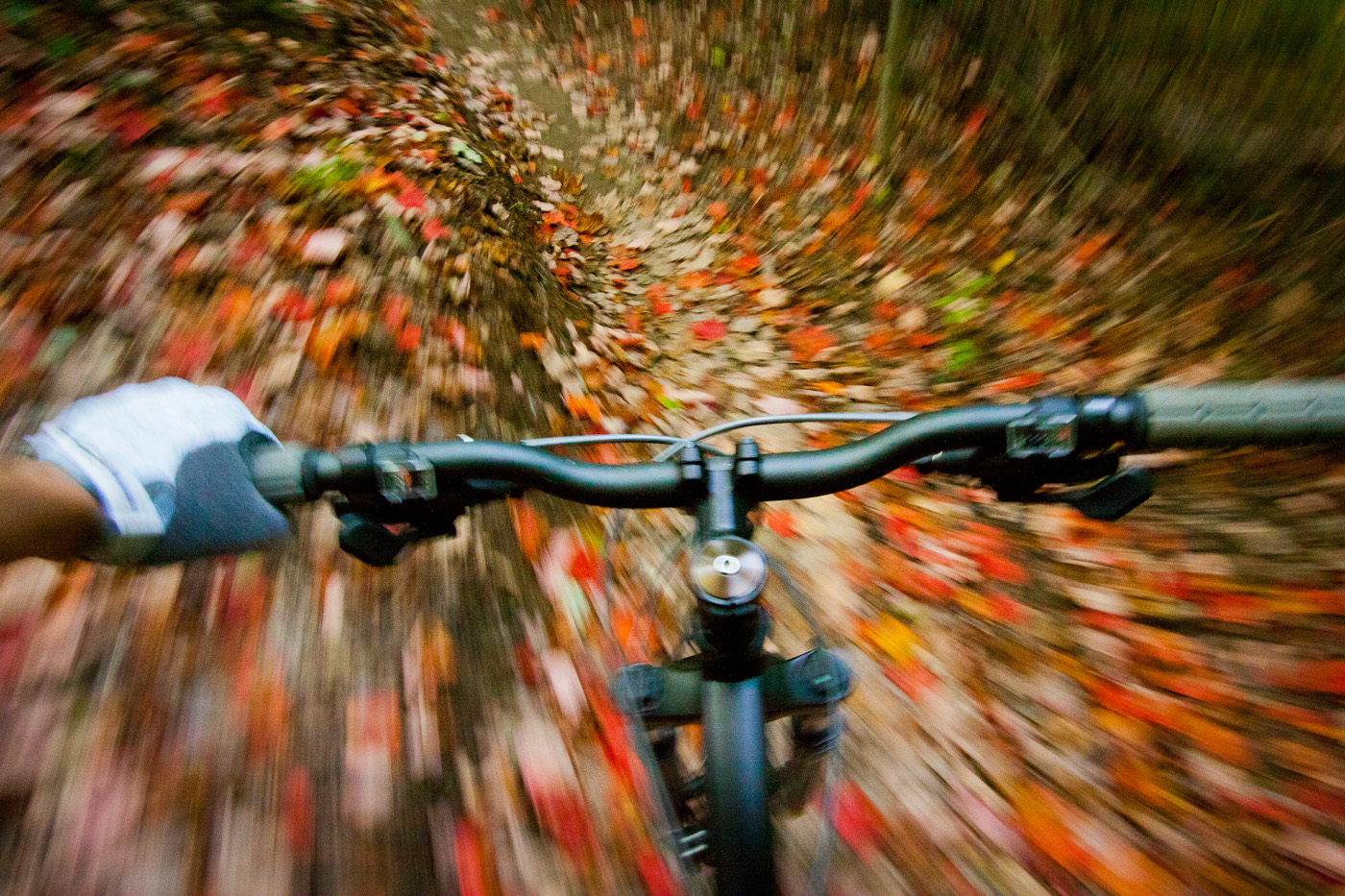 Fall colors at New River Gorge