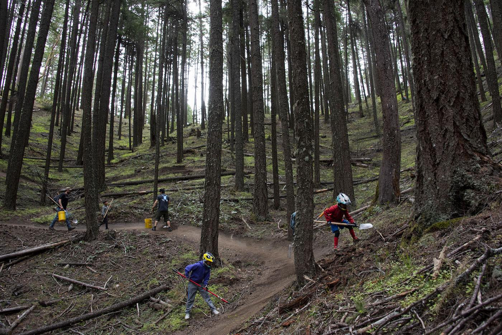 A group of mountain bikers doing trail work on a singletrack mountain bike trail in a forest with large, thin trees. 