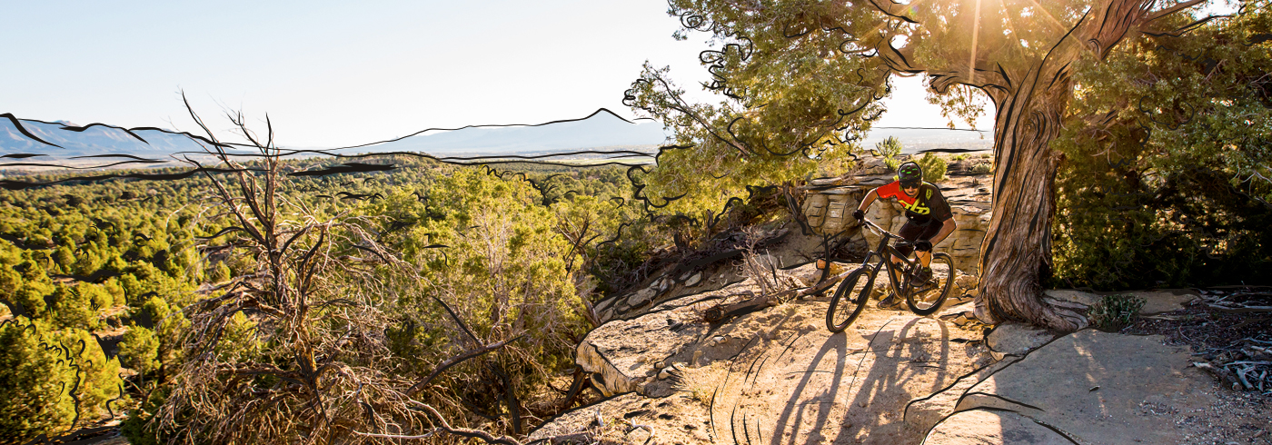 Person riding an IMBA epic, illustrated