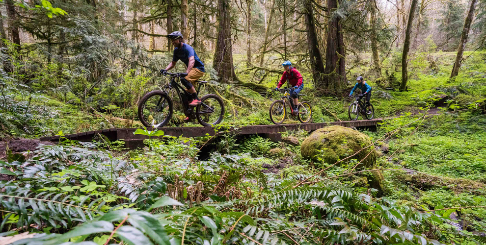 Three eMTB riders cross bridge among ferns in Pacific Northwest