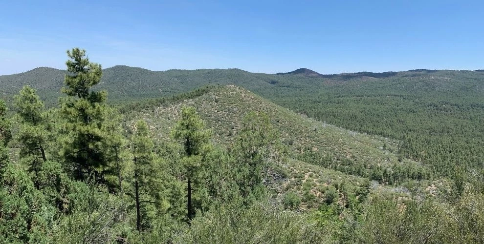 View from Bean Peaks in Prescott, Arizona