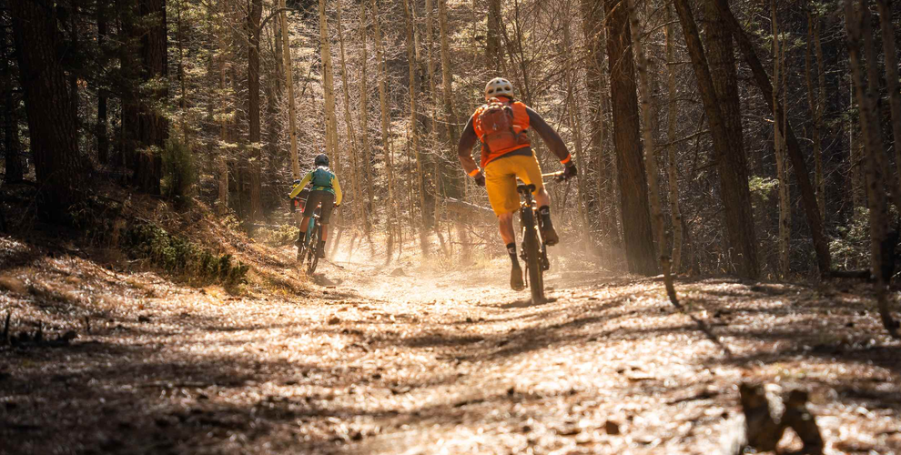 Mountain bikers in the Santa Fe National Forest
