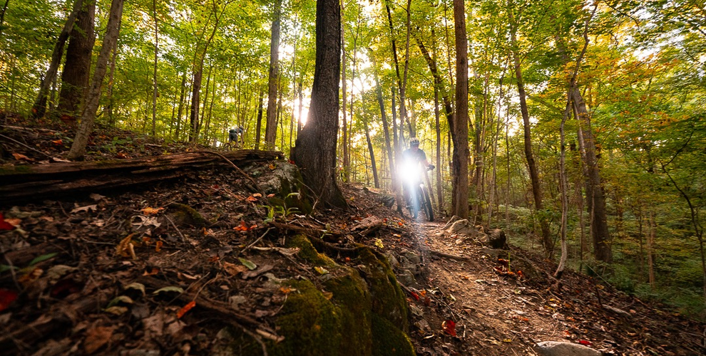 Mountain biker with a headlight riding through the woods in Bristol, VA