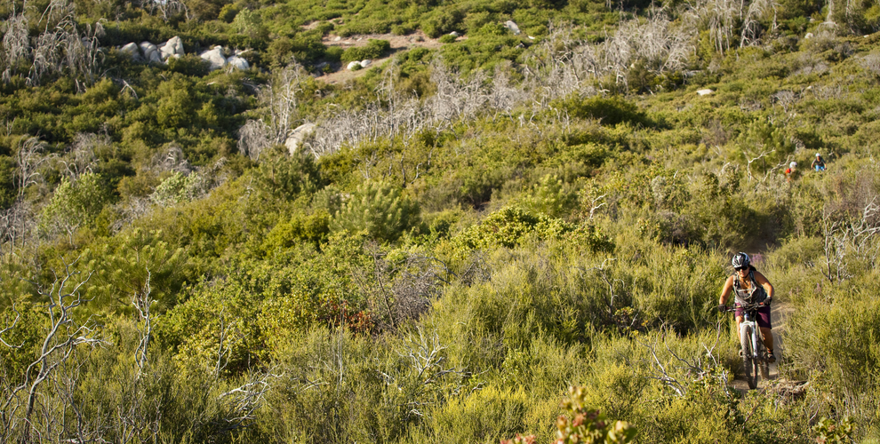 More trails close to home