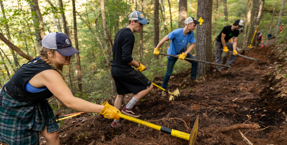 Four volunteers build trail in wooded forest 