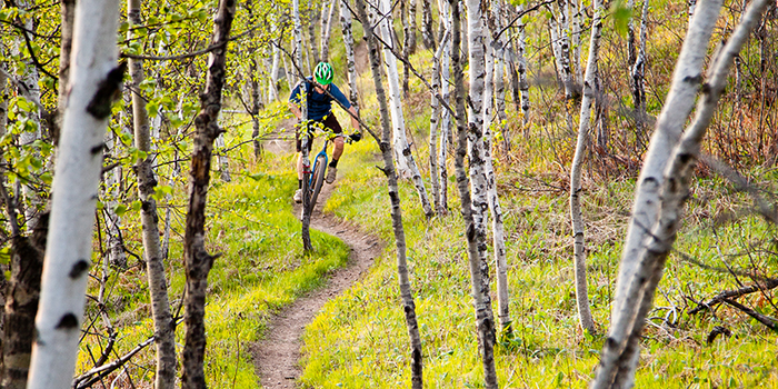 Nation's largest trails, walking and biking organization, building