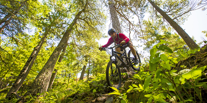 Singletrack Society Image
