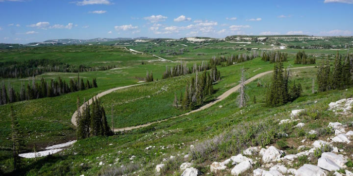Skyline Drive, Utah
