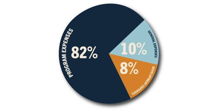 Pie chart showing 82% program expenses, 10% general expenses, 8% development expenses