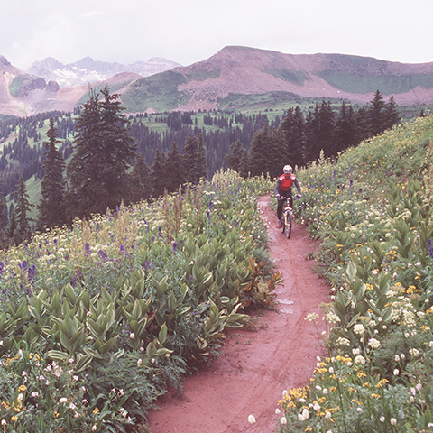 2006 national trail classification system