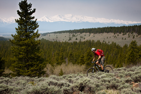 Mountain biker in red jersey with silver helmet, standing up while he rides the Continental Divide Trail, surrounded by green grasses.