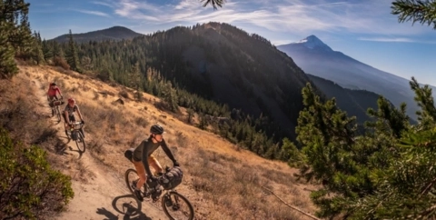 Three mountain bikers riding on single track in Mt. Hood National Recreation Area, surrounded by tall, green pines. 
