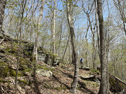 A forest with rocky outcroppings surround a lone trail planner.