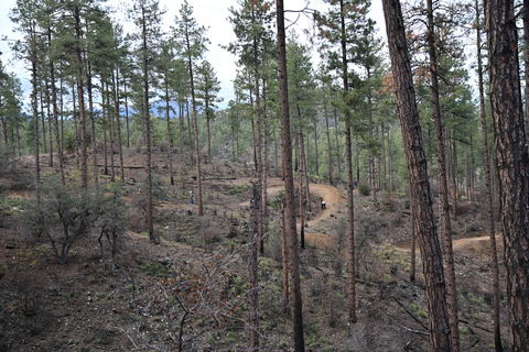 View of Bean Peaks Trails and volunteers