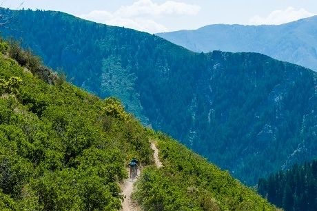 Mountain bikers riding IMBA designation trail