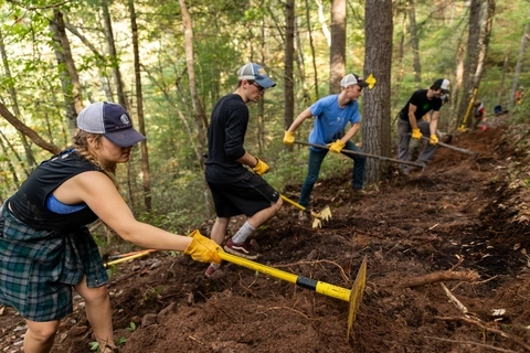 Four volunteers build trail in wooded forest 