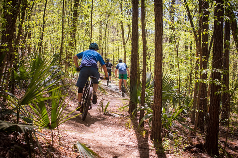 Three young riders in casual clothing on winding trail surrounded by lush southeast urban forest
