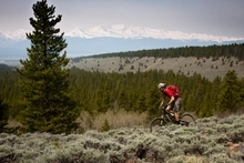 Mountain biker in red jersey with silver helmet, standing up while he rides the Continental Divide Trail, surrounded by green grasses. 