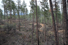 View of Bean Peaks Trails and volunteers