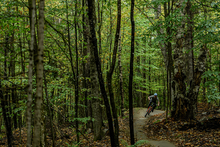 the author riding kingdom trails