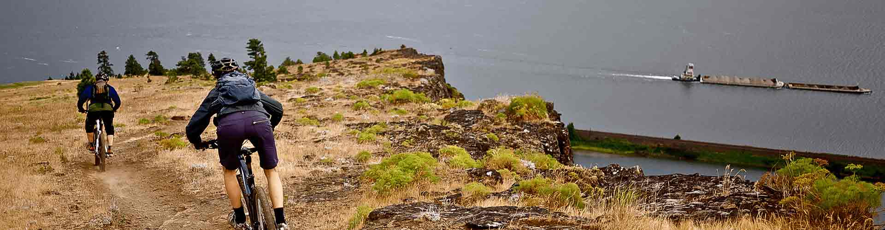 Hansi_Photo_100601