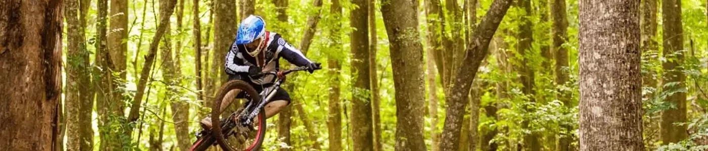 rider in full fae helmet in a lush green forest