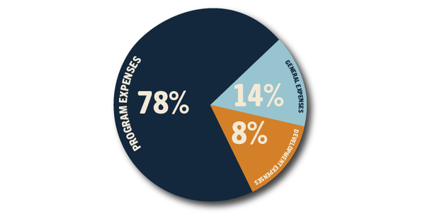 2020 Total Expenses pie chart