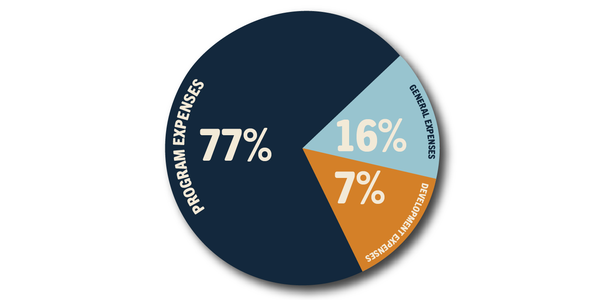 Pie Chart of Total Revenue